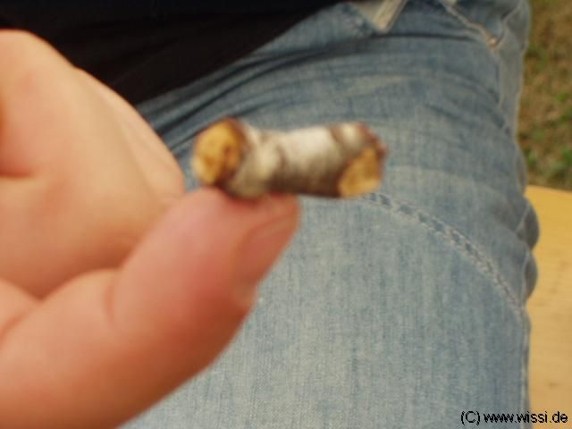 (c) 2003 by M�kreativ, Klaus Hintze