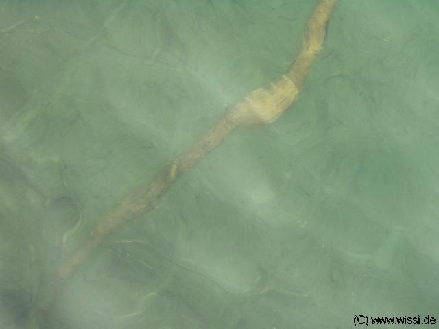 (c) 2003 by M�kreativ, Klaus Hintze