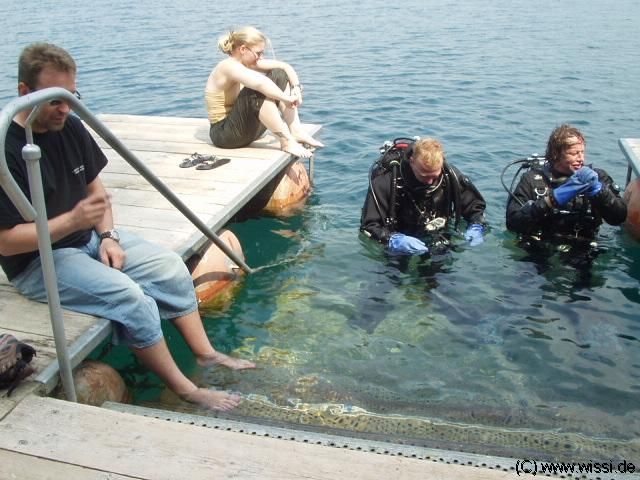 (c) 2003 by M�kreativ, Klaus Hintze