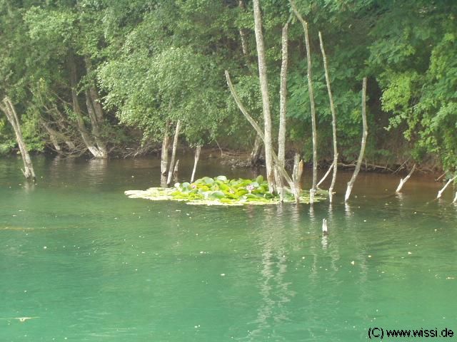 (c) 2003 by M�kreativ, Klaus Hintze